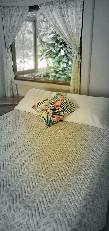 Casa Chilamates 2.0 ตอร์ตูเกโร ภายนอก รูปภาพ